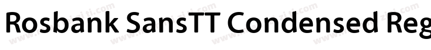 Rosbank SansTT Condensed Regular字体转换
